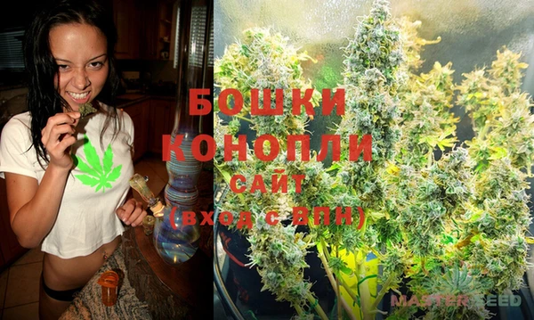 первитин Няндома