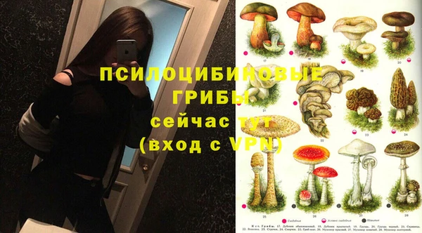 соль ск Новозыбков
