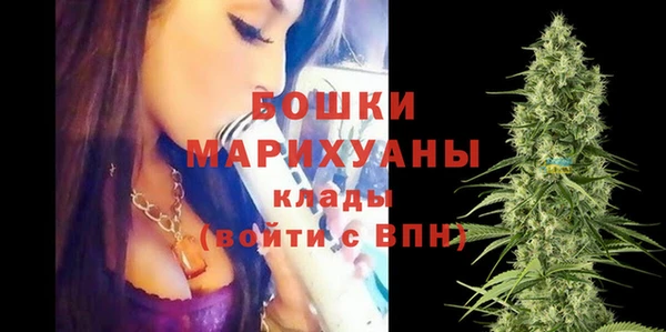 МДПВ Новодвинск