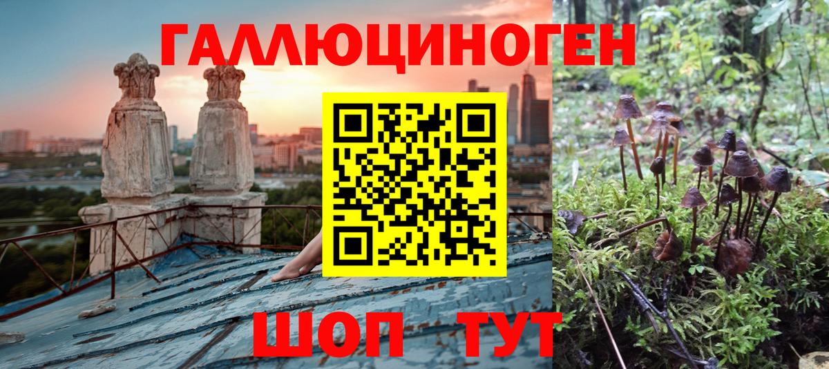 Галлюциногенные грибы MAGIC MUSHROOMS  Вход с VPN  Уфа 