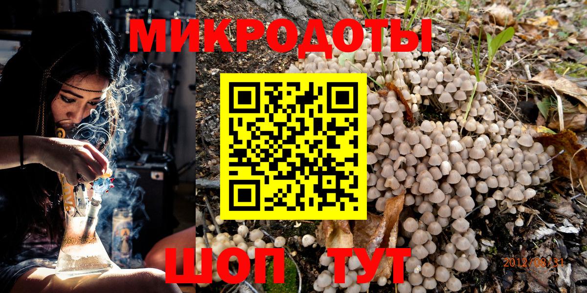 Галлюциногенные грибы Psilocybine cubensis  Псилоцибиновые грибы Psilocybe  Уфа 